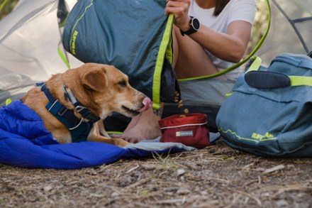 Ruffwear Quencher Dog Bowl 1