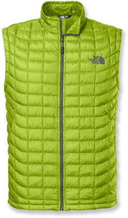 Macaw Green/Spruce Green