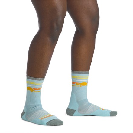Darn Tough Pacer Micro Crew Ultralightweight Cushion Socks - Women's 3