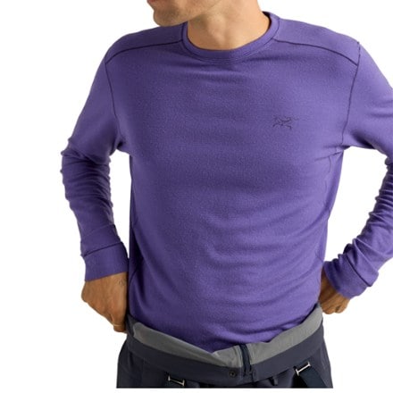 Arc'teryx Satoro Merino Wool Crewneck Base Layer Top - Men's 4