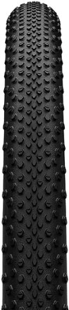 Continental Terra Speed ProTection Tire 1