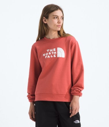 The North Face Evolution Sketch Logo Half Dome Crew Shirt - Women's 0