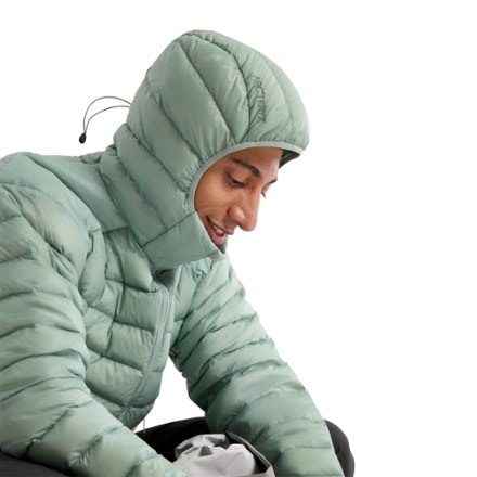 Arc'teryx Cerium Down Hoody - Men's 5