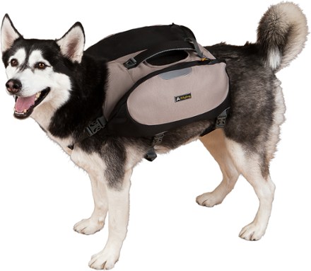 OllyDog Rover Dog Pack 9