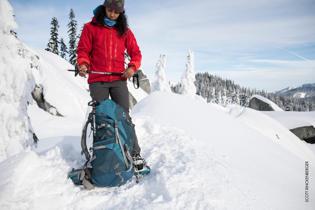 Location Image for DynaLock Explore Backcountry Poles - Pair