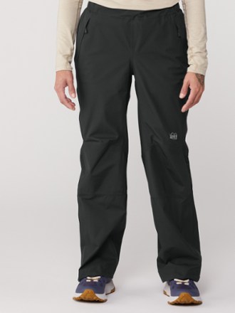 REI Co-op XeroDry GTX Pants - Women's Petite Sizes 1