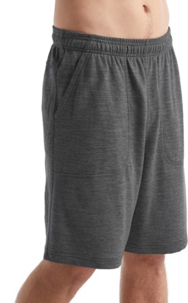 Icebreaker Shifter Shorts - Men's 4