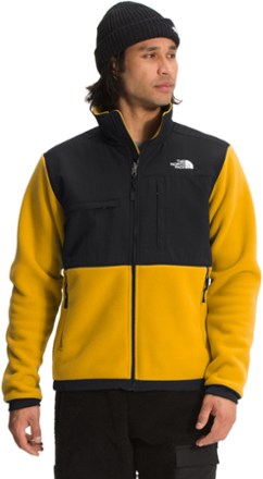 north face denali 2