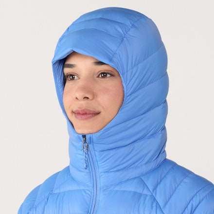 Patagonia Down Sweater Hoody - Women's 4