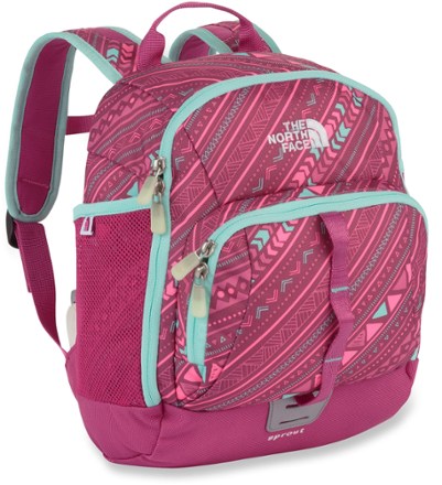 Shocking Pink/Ditsy Strip