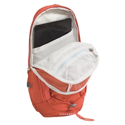The North Face Borealis Sling Bag 3