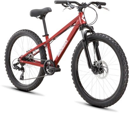 Diamondback Hook 24 Mountain Bike - Kids' 1