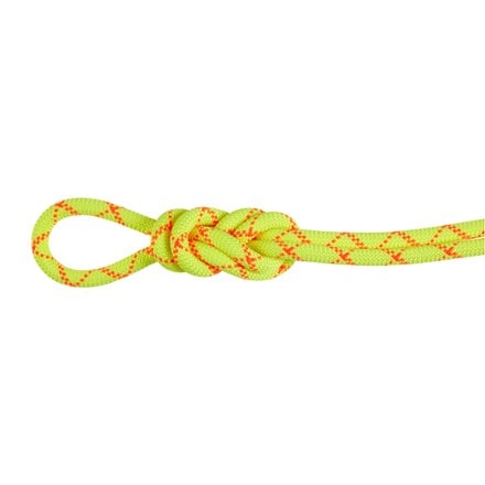 Mammut Alpine Core Protect Dry 9.5 mm Rope 0