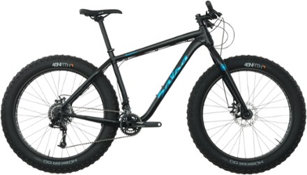 2017 salsa beargrease