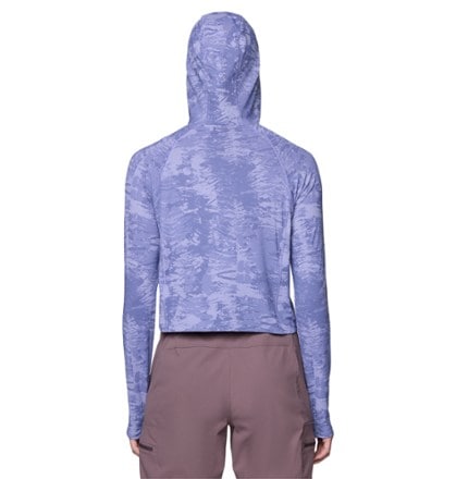 Mountain Hardwear Crater Lake Crop Zip Top - Women's 1