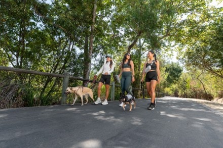 Location Image for Hidden Comfort Quarter Socks