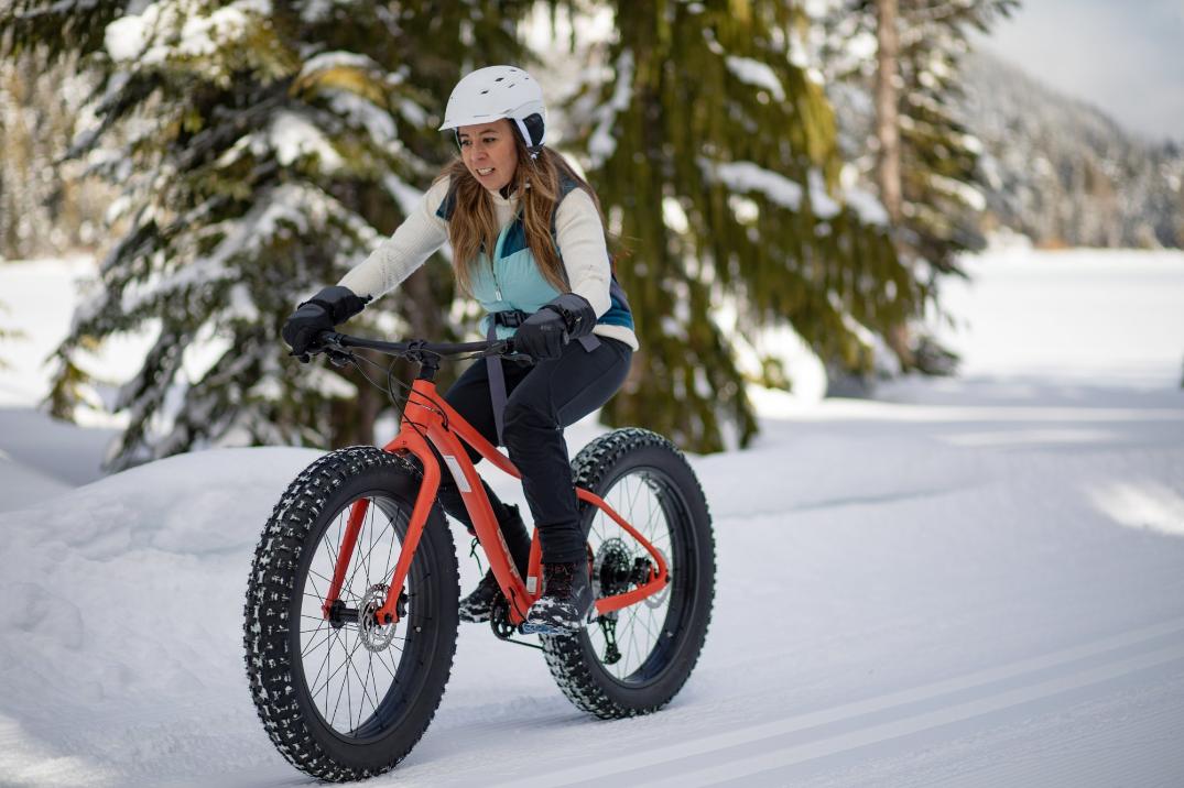 Location Image for DRT 4.1 Fat-Tire Mountain Bike