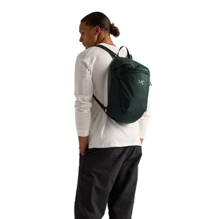 Arc'teryx Heliad 15 Pack 7