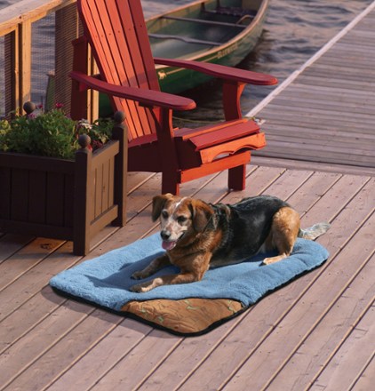 In Use (Blue/Orange)