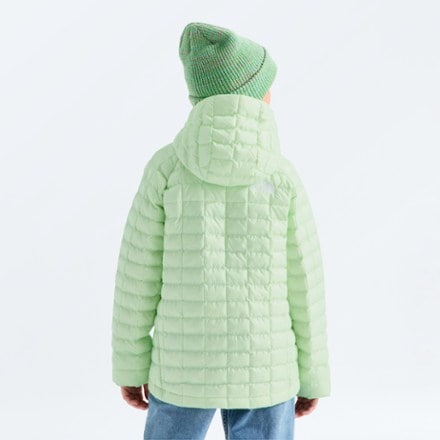 The North Face ThermoBall Hooded Jacket - Kids' 1