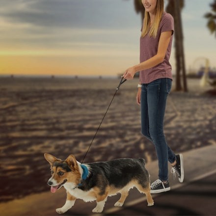 Nite Ize RadDog All-In-One Collar and Leash 7