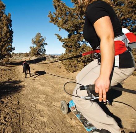 Mountainboard-joring (Red Currant)