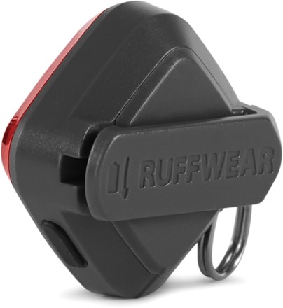 back view (Red Currant)