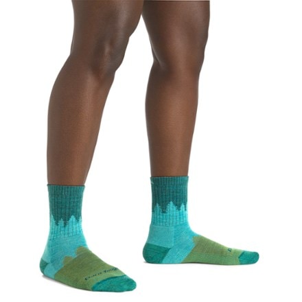 Darn Tough Treeline Micro Crew Socks - Women's 1