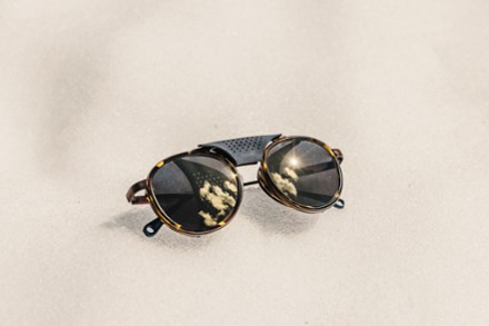 Location Image of color Tortoise