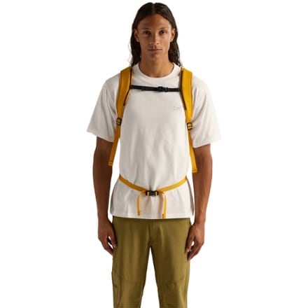 Arc'teryx Mantis 26 Pack 2
