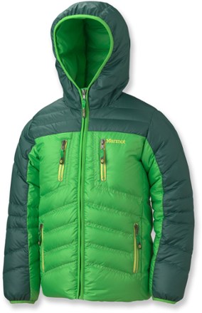 Bright Grass/Deep Forest