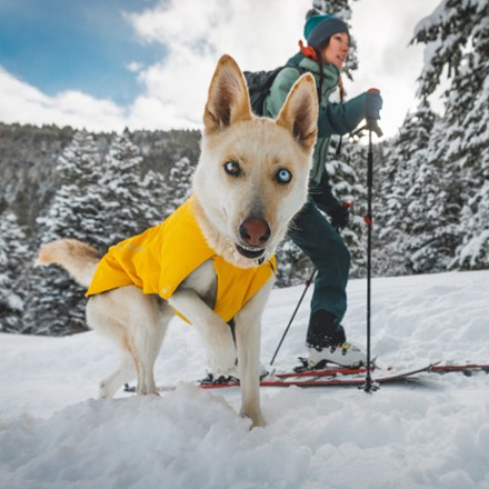Ruffwear Vert Jacket | REI Co-op