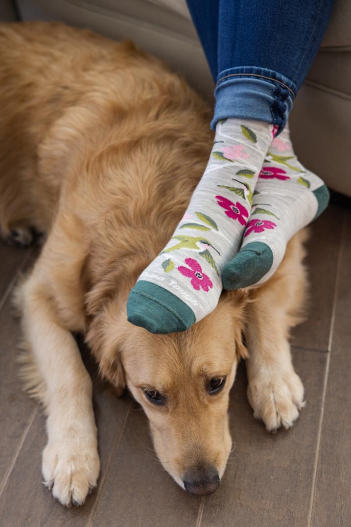 Location Image for Birds of a Feather Socks - Women's