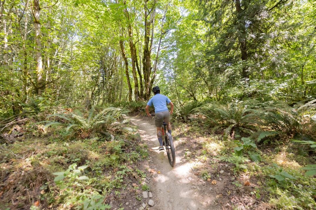 Location Image for DRT e1.1 Electric Mountain Bike