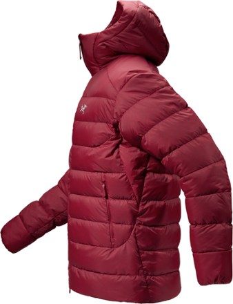 Arc'teryx Thorium Down Hoodie - Men's 4