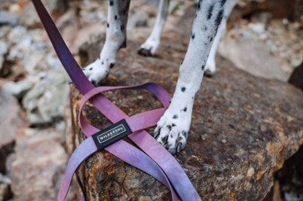 Wilderdog Waterproof Leash 2