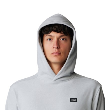 Mountain Hardwear Microchill Hoody - Men's 3