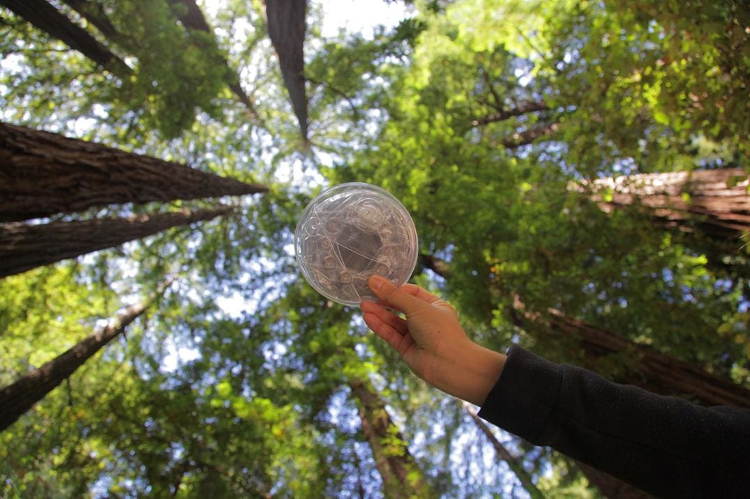 Location Image for Luci Original Clear 2.0 Inflatable Solar Lantern