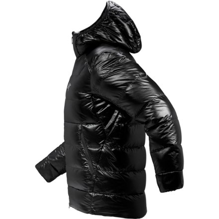 Arc'teryx Cerium SV Down Hoody - Men's 4