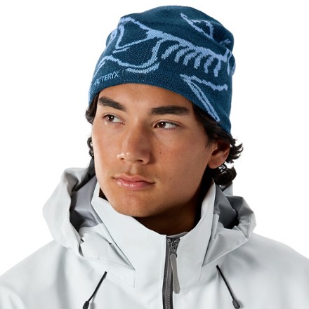 Arc'teryx Bird Head Toque Beanie 1