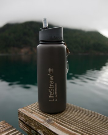 LifeStraw Go Stainless-Steel Water Filter Bottle - 24 fl. oz. 2