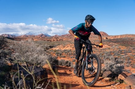 Salsa Blackthorn Deore 12-Speed Mountain Bike 5