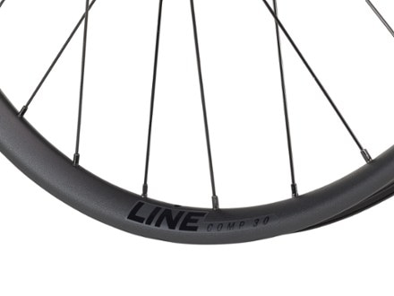 Bontrager Line Comp 30 TLR Boost 29 MTB Wheel 2