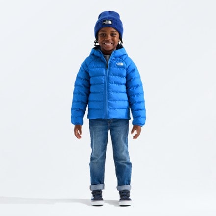 The North Face Reversible Perrito Hooded Insulated Jacket - Toddlers' 0