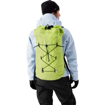 Arc'teryx Alpha FL 30 Pack 4