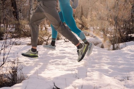 Feetures Merino 10 Cushion Quarter Socks 2