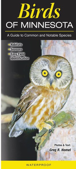 Product Image of color