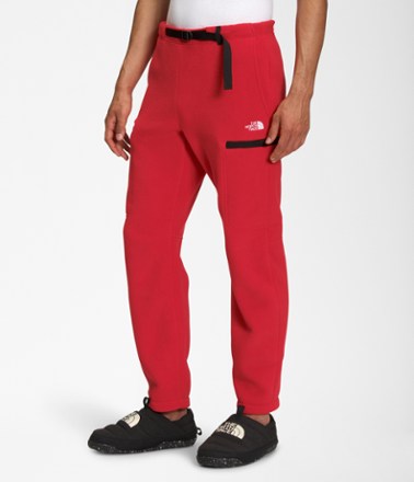 The North Face Alpine Polartec 200 Pants Men's REI Coop