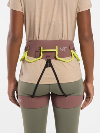 Arc'teryx AR-385a Harness - Women's 2