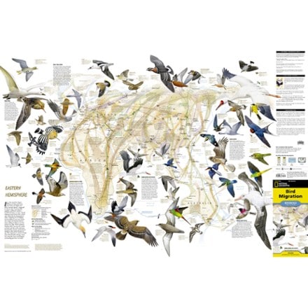 National Geographic Bird Migration Reference Map and Guide 2